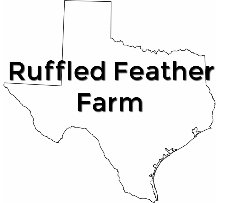 Ruffled Feather Farm